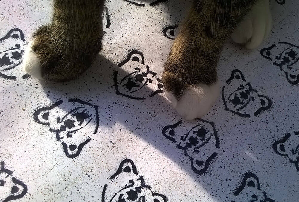 Interview Martina Gaul Schnute mit Oskar