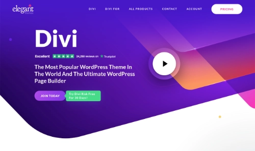 divi screenshot